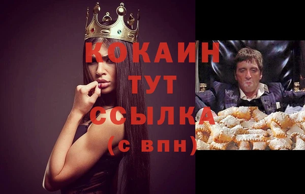 СК Абинск