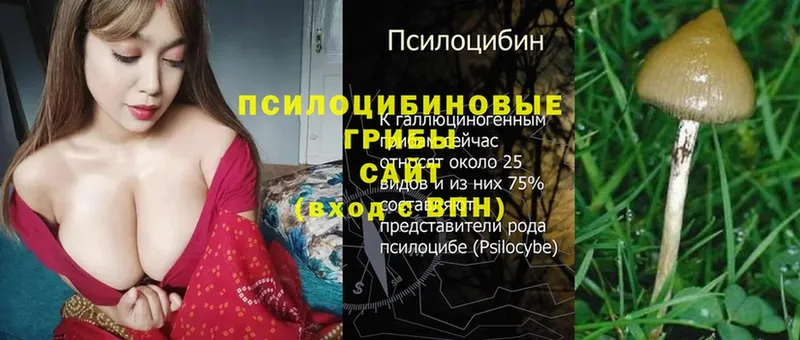 Псилоцибиновые грибы Magic Shrooms Агрыз